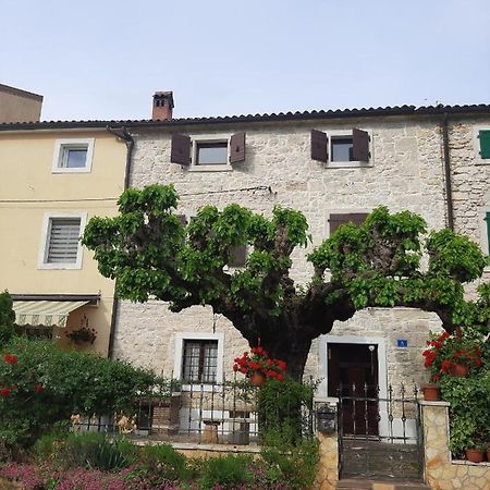 Villa Casa Girasole Buje Exterior foto