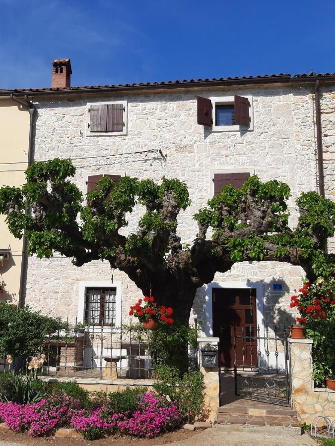 Villa Casa Girasole Buje Exterior foto