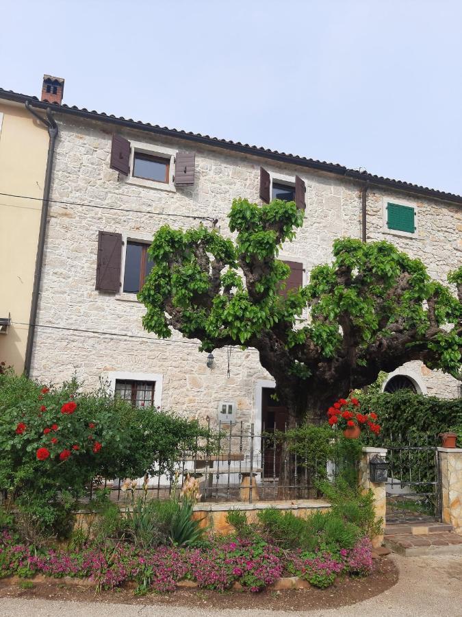 Villa Casa Girasole Buje Exterior foto